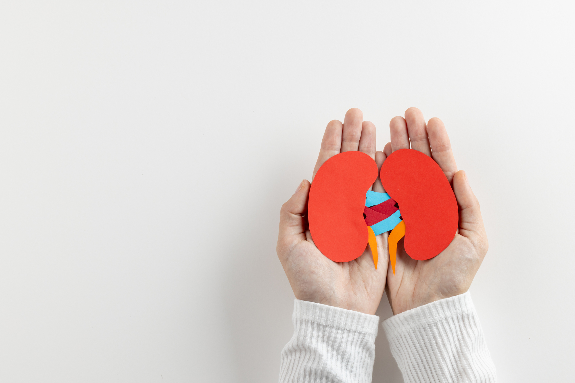 糖尿病性腎症とは?原因や症状などを簡単にわかりやすく解説